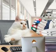 hihiworld姐的个人资料头像