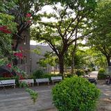 聪明海风Ew头像