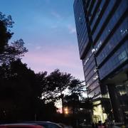 joezhang09的个人资料头像