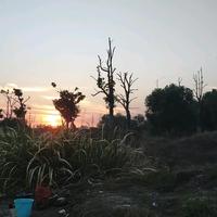 打工人～赤子头像