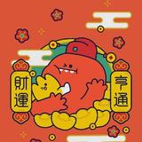 wikoy头像