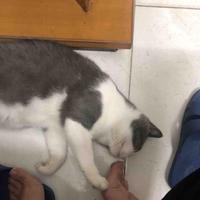 水院陈冠潮头像