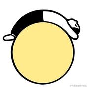 用户zzp的个人资料头像