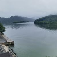 棕榈树奇钰头像