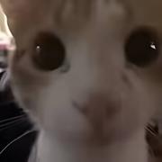 余吉的个人资料头像