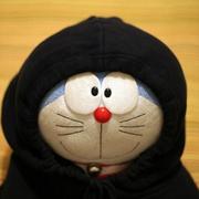 写代码的蓝胖子的个人资料头像