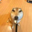 Lip同学的个人资料头像