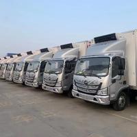 自在斯文孙头像