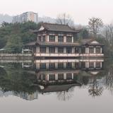 来天下事头像