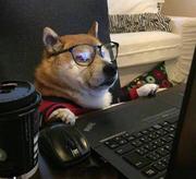 24hours09的个人资料头像