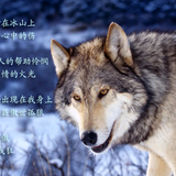 江湖尊称胖哥头像