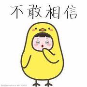 群群不爱总结的个人资料头像