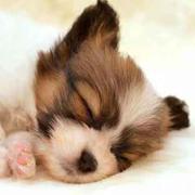 清沐的个人资料头像