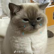 不吃皮的冰冰呀的个人资料头像