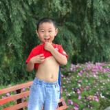 股哥头像