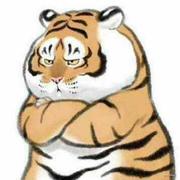 铁甲暴龙战士的个人资料头像