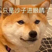 自动点赞机器人的个人资料头像