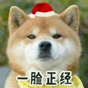 行修285的个人资料头像