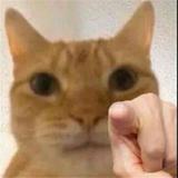 你tm的看什么头像