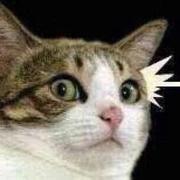 数据恢复小达人的个人资料头像