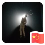 浙大宏哥的个人资料头像