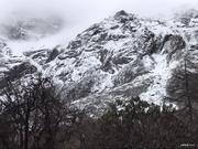 武哥来了的个人资料头像