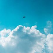 jjys15的个人资料头像