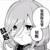 雪羽翼572头像