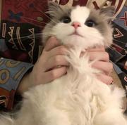 子川的个人资料头像