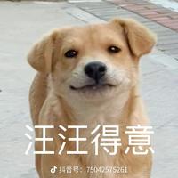 重楼r头像
