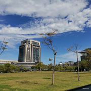 Mathematics的个人资料头像