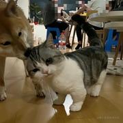 momo578的个人资料头像