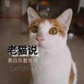 大脸猫说头像