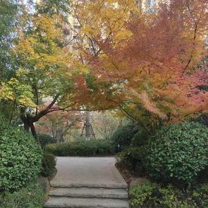 雨山娇子头像