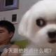 蔓蔓饿了头像