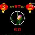 勿忘我5643118876294头像