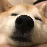爱说车的小云头像