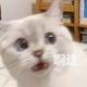 阿撤3R3K头像