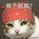 隔壁老徐徐徐徐头像