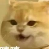 今天不嘻嘻了头像