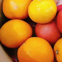 汽车大讲师头像