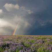 禅茶客的个人资料头像