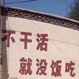 理工小散户头像