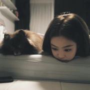 水果糖530的个人资料头像