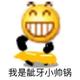 桂桂皮er · 凯迪拉克CT5车主·车龄1年头像
