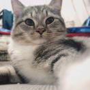 吳廸的个人资料头像