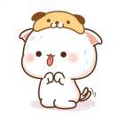 ggyybowie的个人资料头像