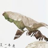 张辽快F住头像