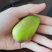 眼睛要坏啦的个人资料头像