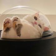 Kimi235的个人资料头像